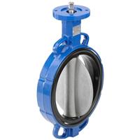 Type 2671 Butterfly Valve